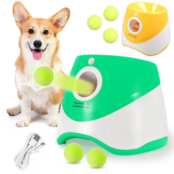 Corgi with an automatic ball launcher