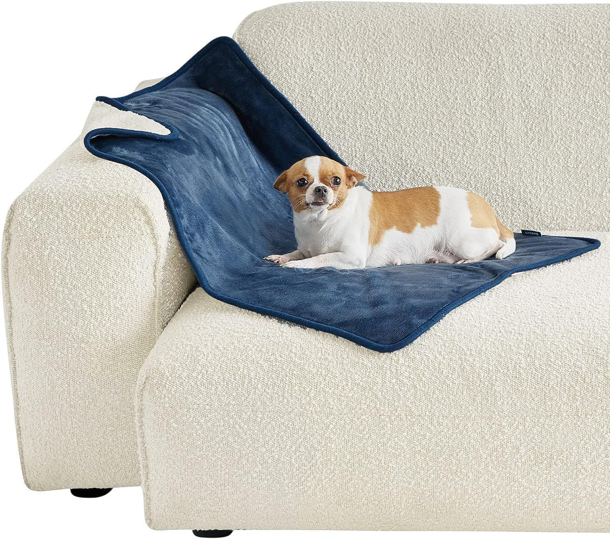 Small dog on a sherpa blanket on a sofa