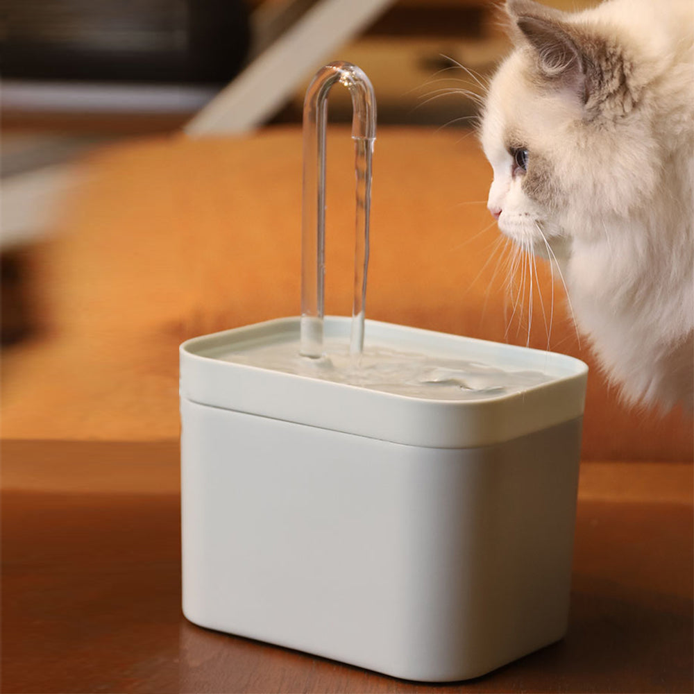 Cat drinking from a water fountain