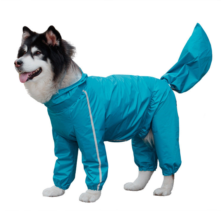 Dog wearing a blue all-weather raincoat