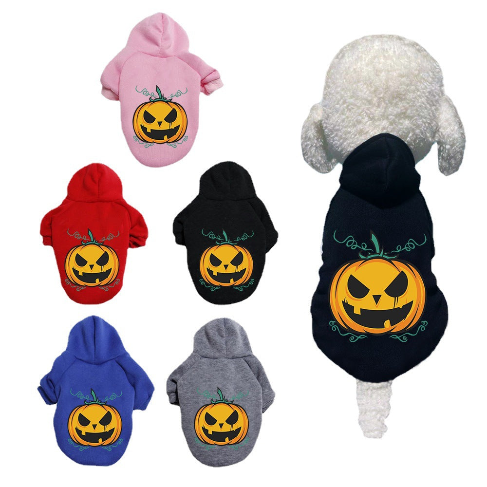 Pumpkin Dog Hoodie