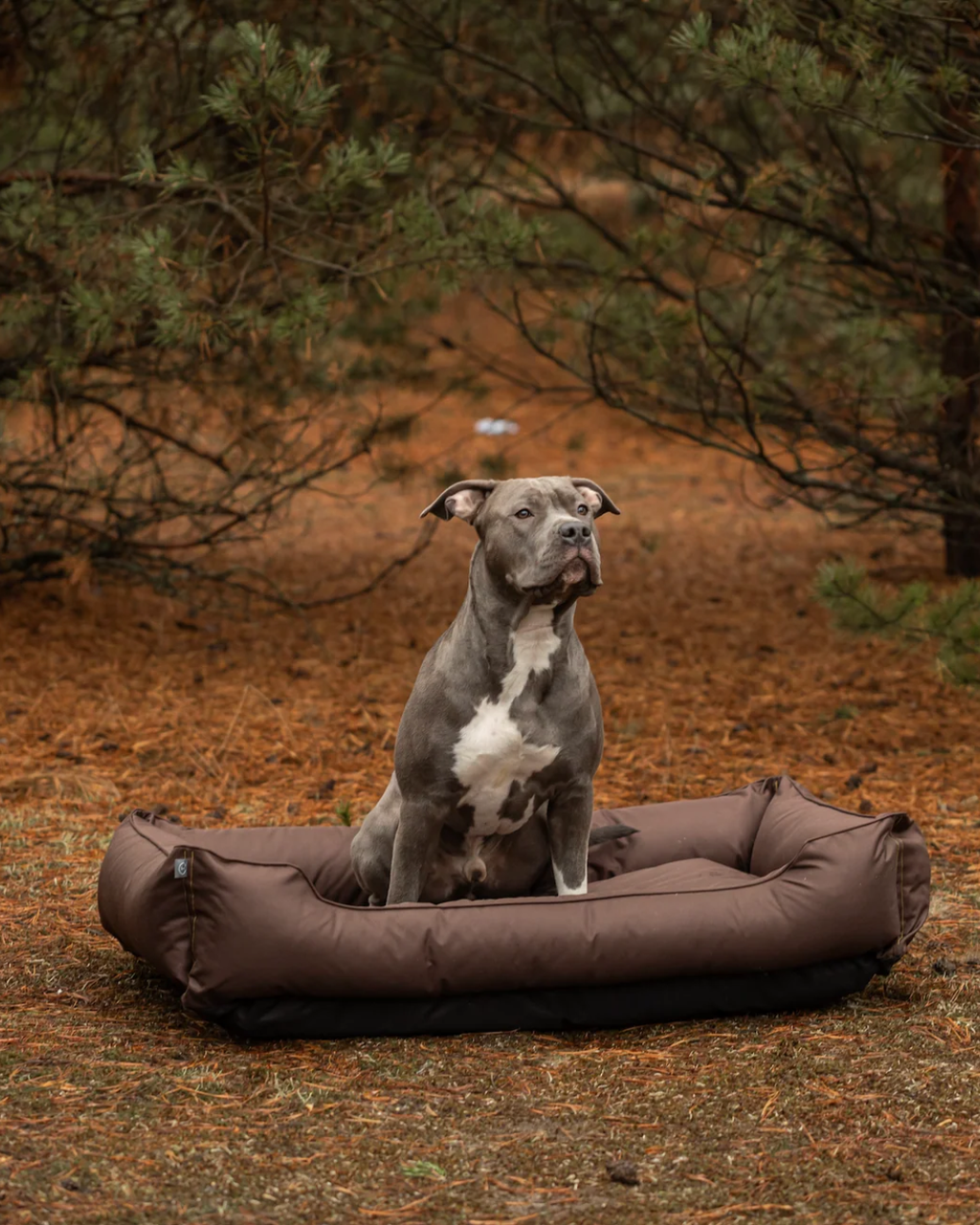 Waterproof Sleeper Dog Bed, Brown