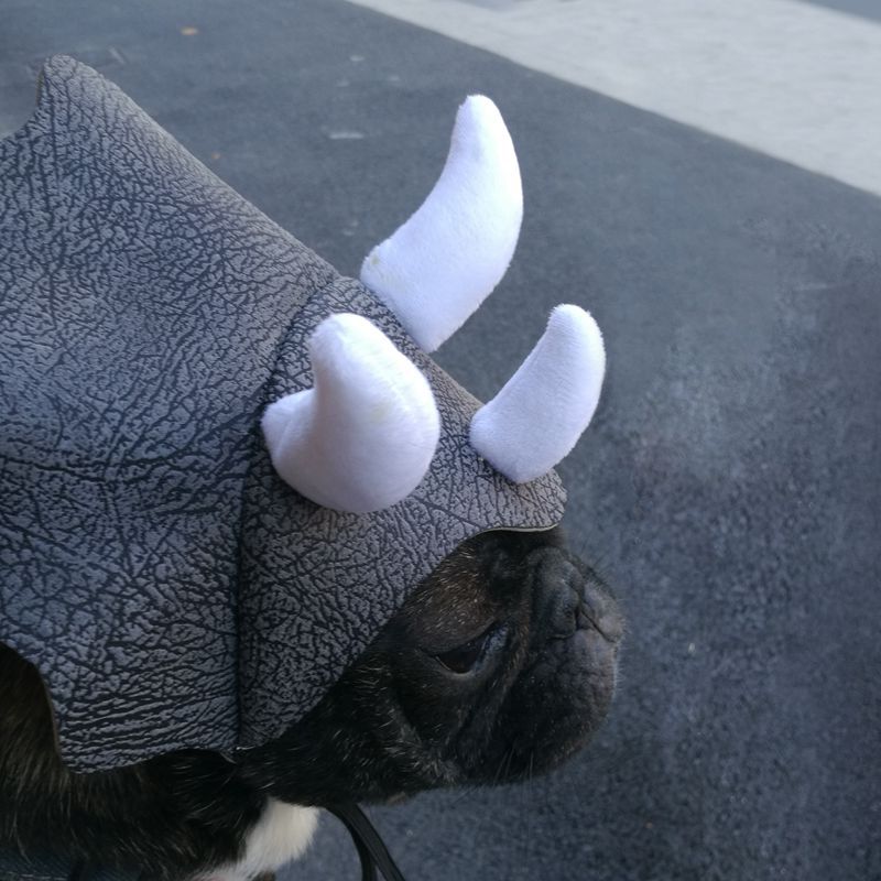 Dinosaur Hat for Dogs and Cats, view 2