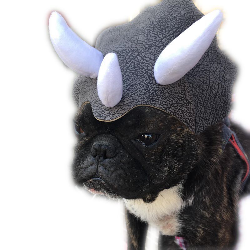 Dinosaur Hat for Dogs and Cats, view 3