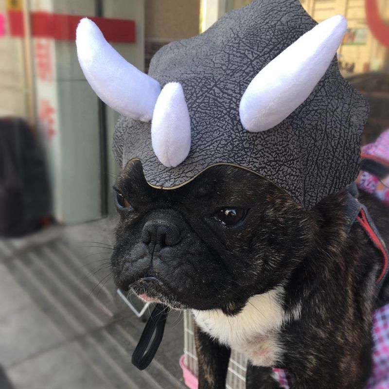 Dinosaur Hat for Dogs and Cats
