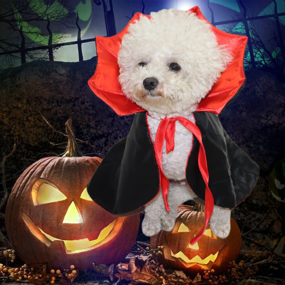 Vampire Cloak for Cats and Small Dogs, view 8