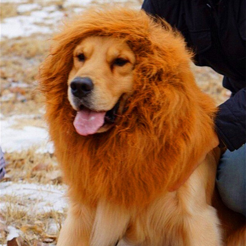 Lion mane for large dogs, view 3