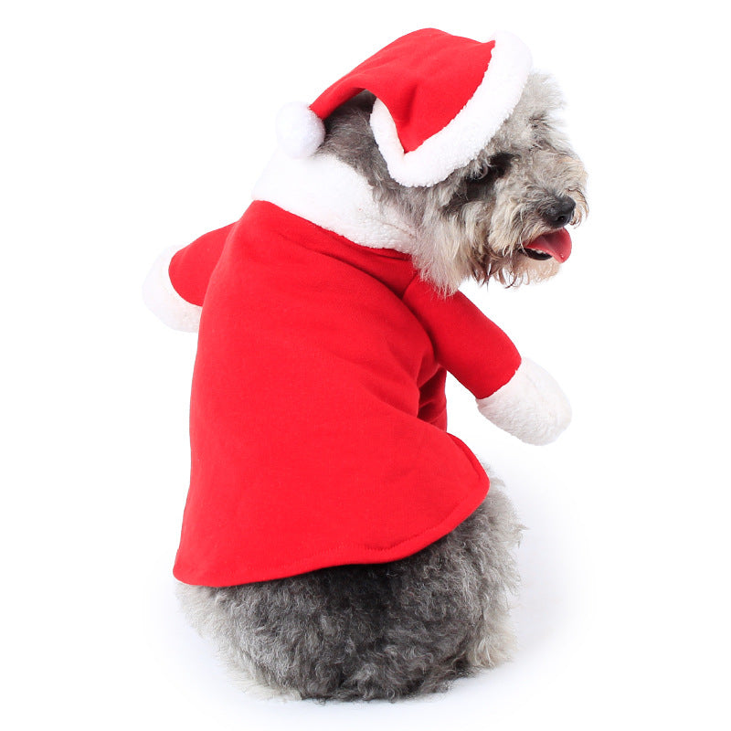 Small dog wearing a red Santa suit with hat