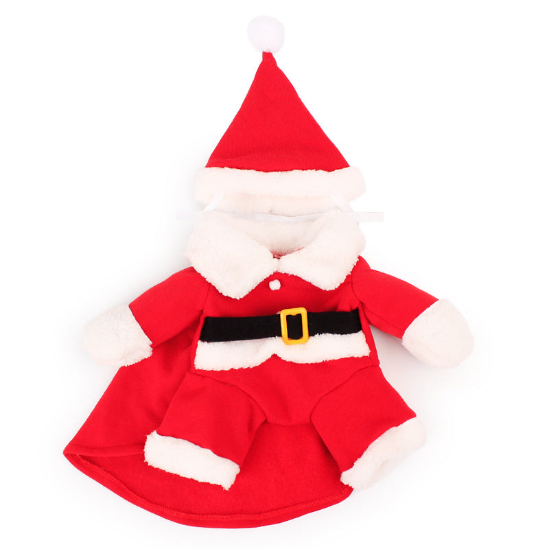 Small dog wearing a red Santa suit with hat