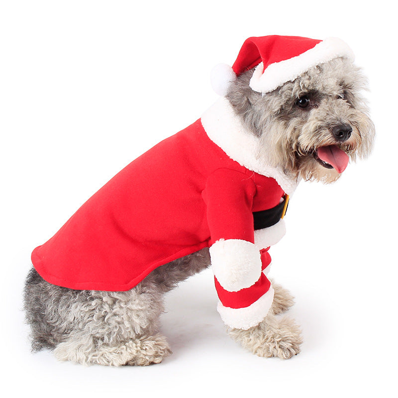 Small dog wearing a red Santa suit with hat