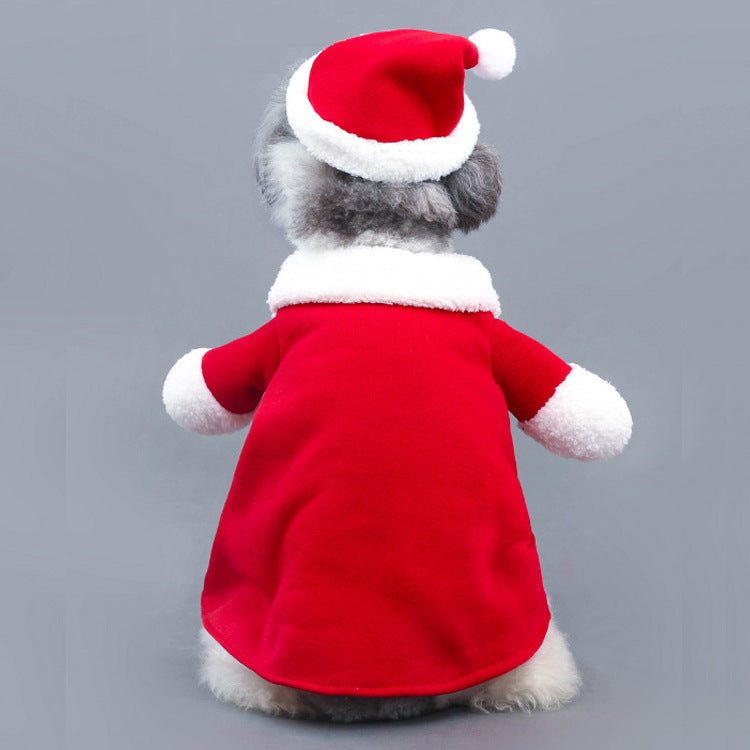 Small dog wearing a red Santa suit with hat