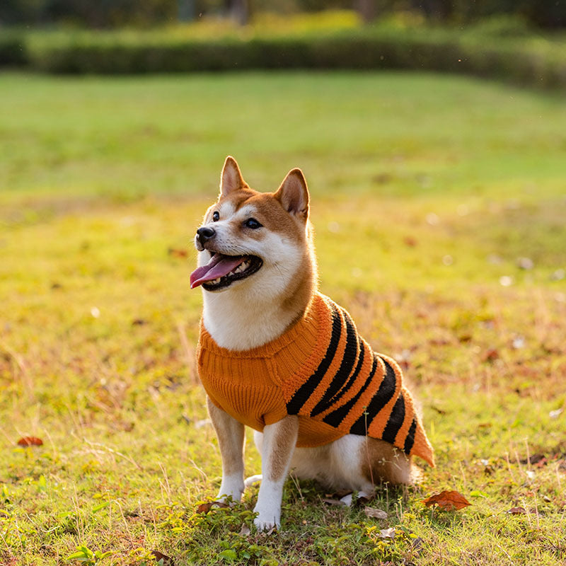 Halloween Dog Jumper, view 4
