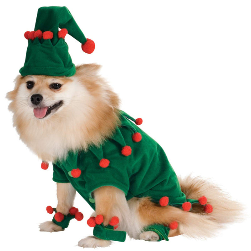 Cat wearing a green Christmas tree cape with pompoms and a star