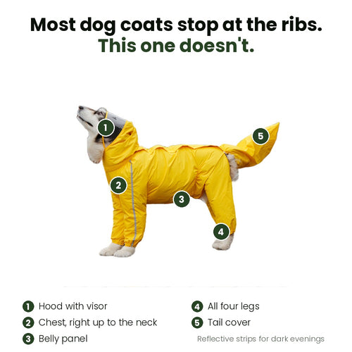 Barkmoor All-Weather Dog Raincoat - what it covers: hood, chest, belly, four legs and tail
